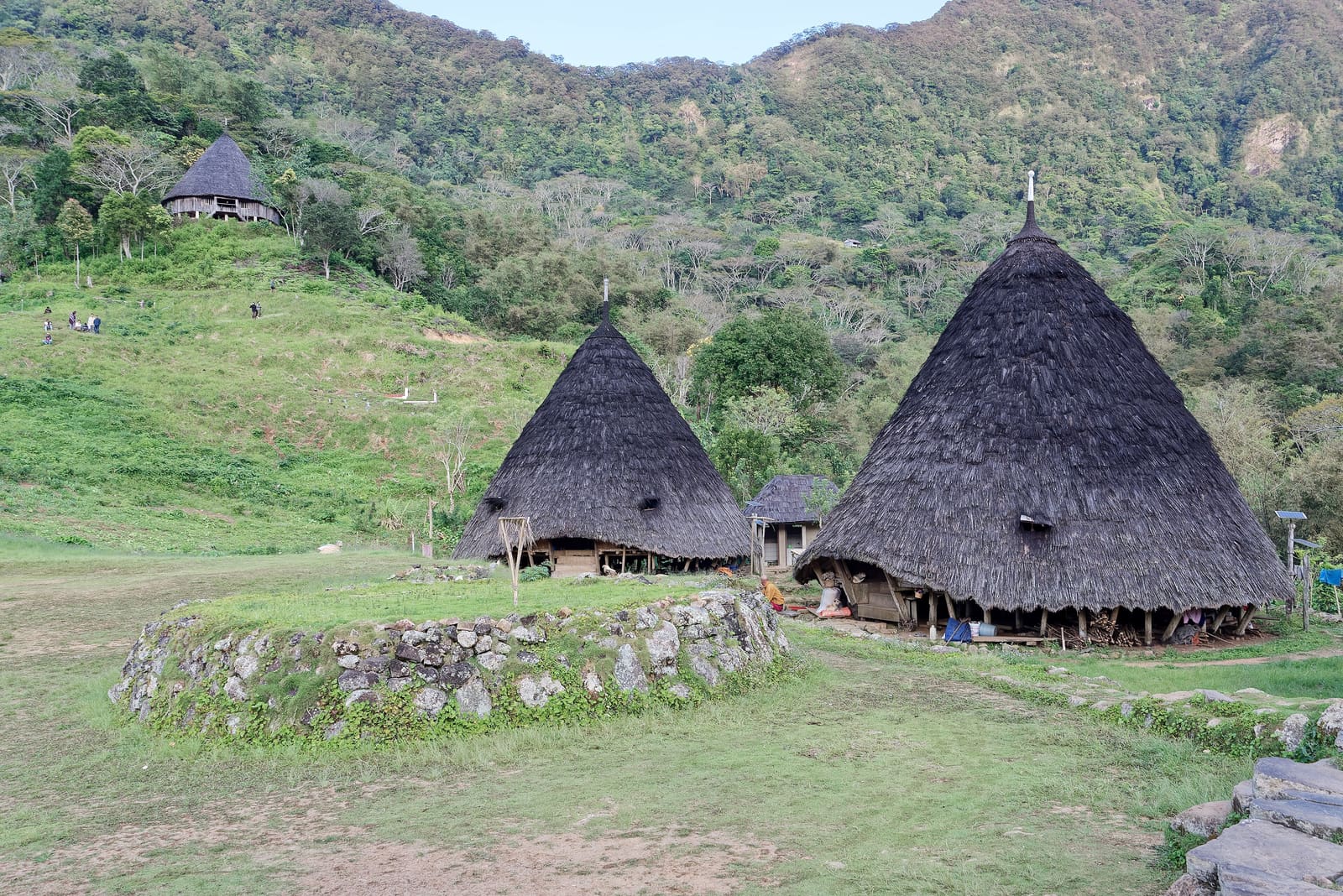 Tall cone-shaped Mbaru Niang houses in Wae Rebo village